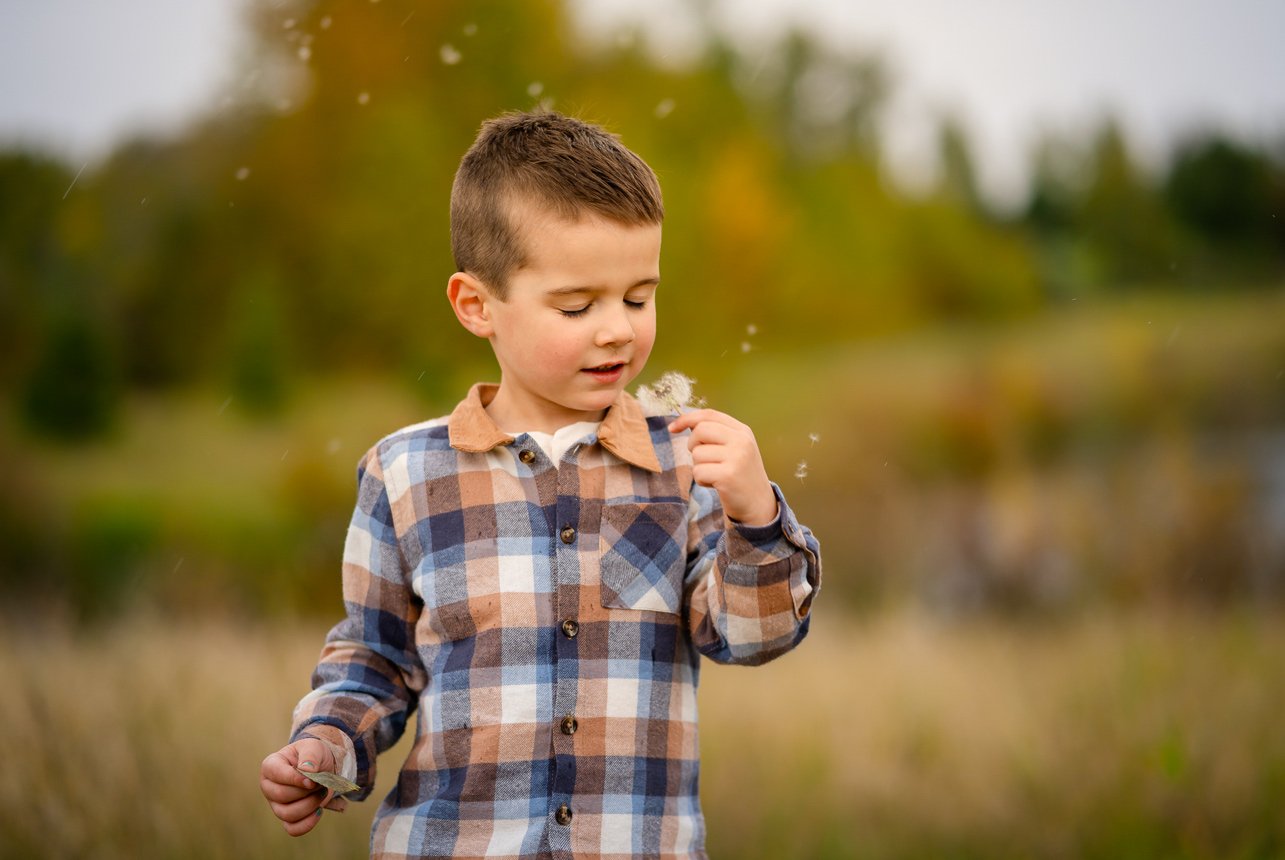 Young boy in plaid shirt holding a dandelion and watching the seeds float in autumn air