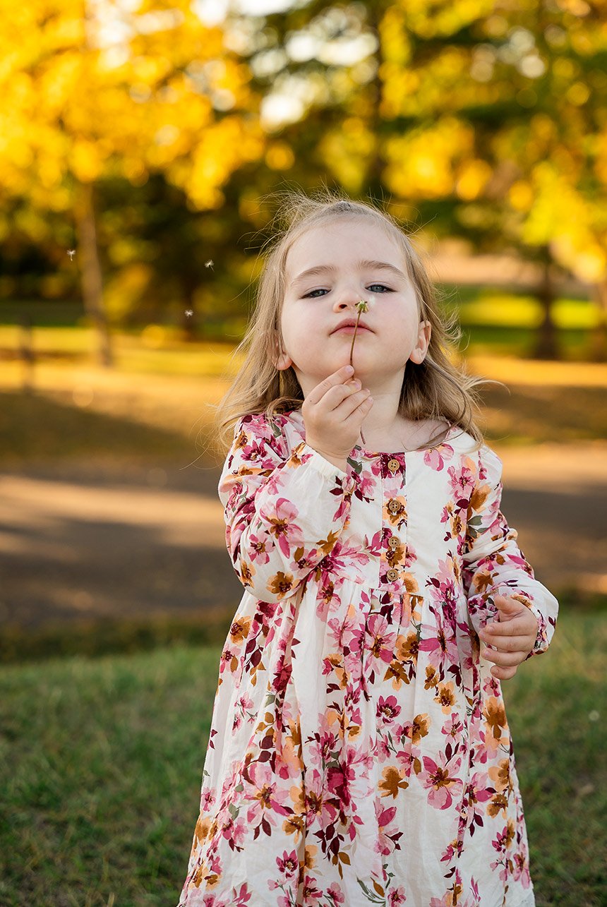 Toddler blowing dandelion seeds during a fall family session in Edmonton