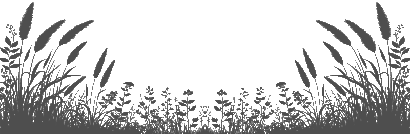 Decorative-Grass-Banner